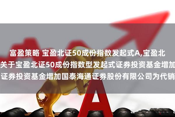 富盈策略 宝盈北证50成份指数发起式A,宝盈北证50成份指数发起式C 关于宝盈北证50成份指数型发起式证券投资基金增加国泰海通证券股份有限公司为代销机构的公告